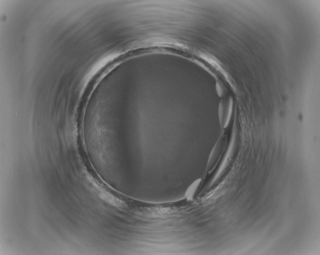 X0000066971024200603271203