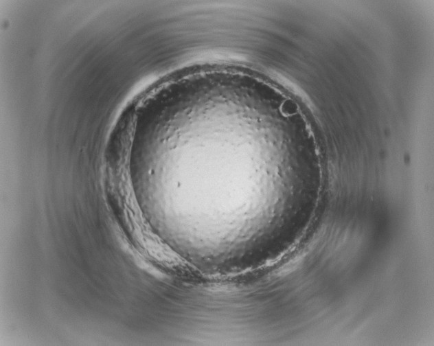 X0000066971029200603271203