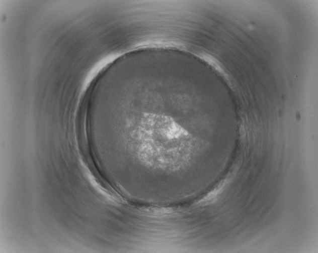 X0000066971030200603271203