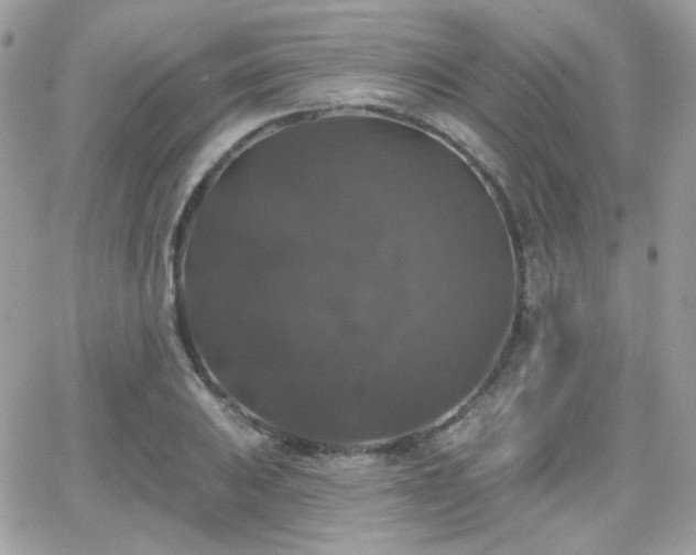 X0000066971031200603271203