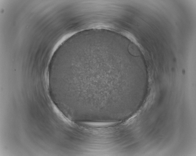 X0000066971032200603271203