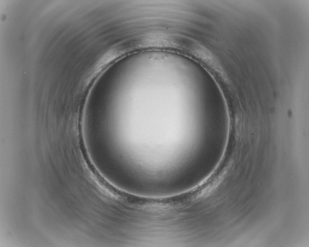 X0000066971033200603271203