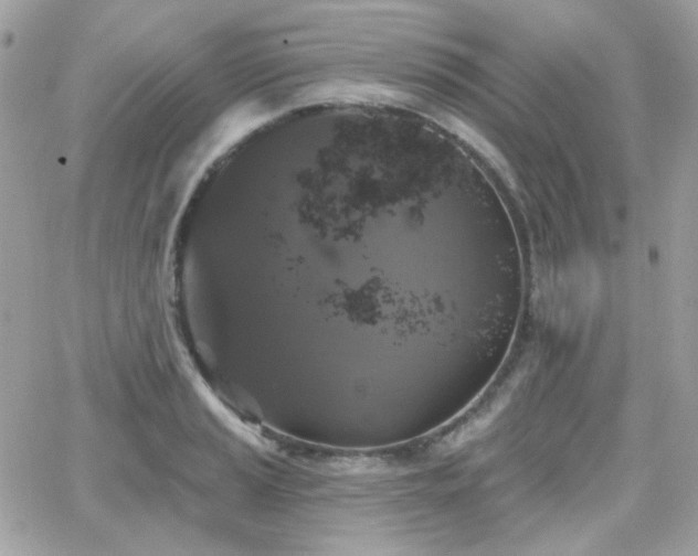 X0000066971037200603271203