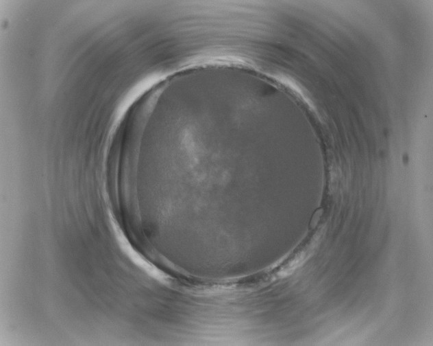 X0000066971038200603271203