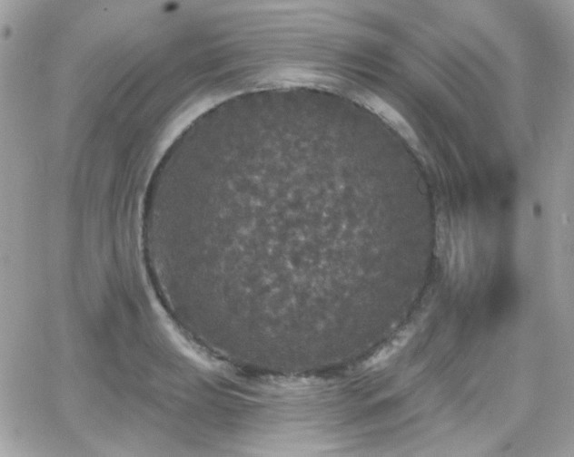 X0000066971039200603271203