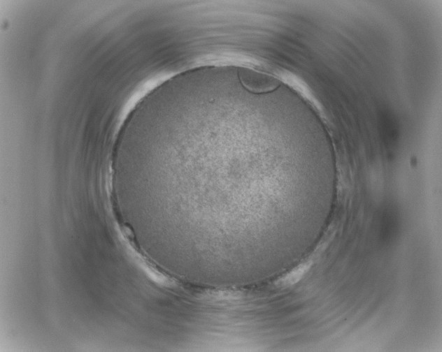 X0000066971040200603271203