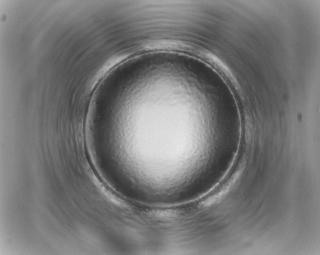 X0000066971041200603271203