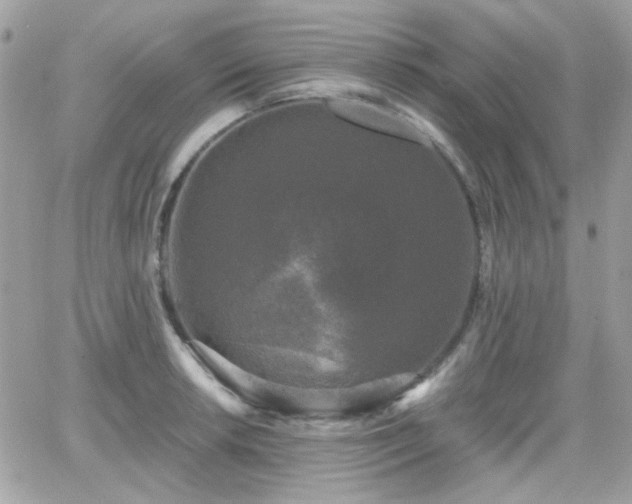 X0000066971042200603271203