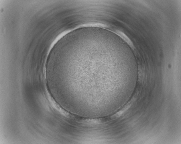 X0000066971044200603271203