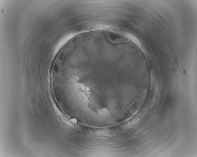 X0000066971047200603271203