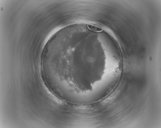 X0000066971048200603271203