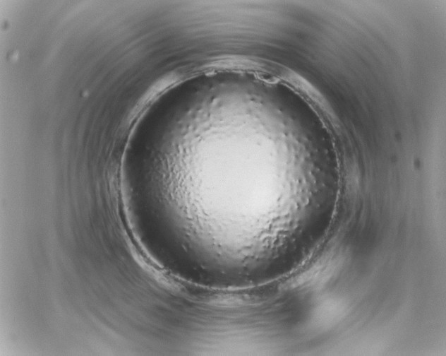 X0000066971049200603271203