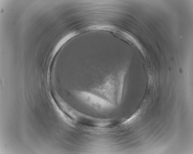 X0000066971050200603271203