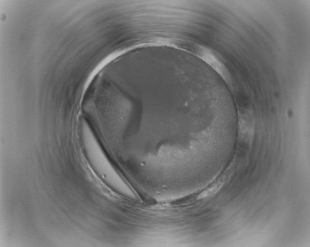 X0000066971052200603271203