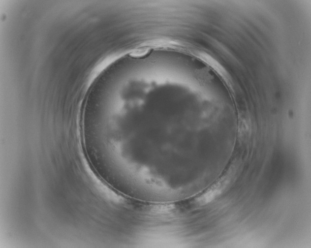 X0000066971055200603271203