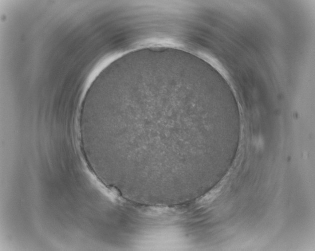 X0000066971056200603271203