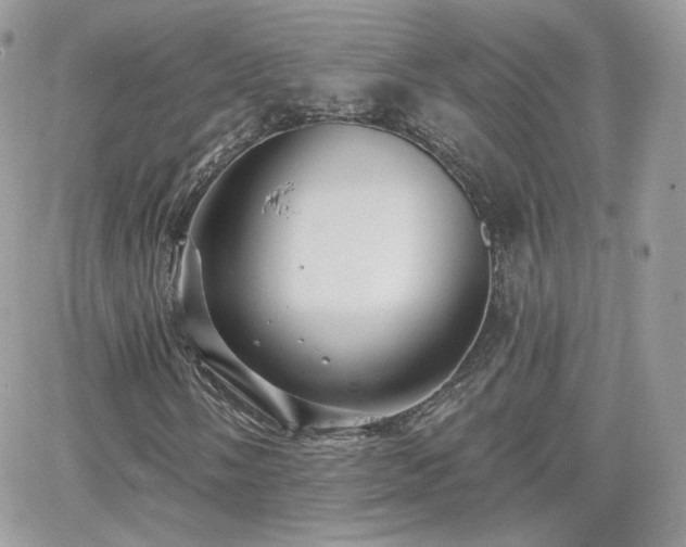 X0000066971058200603271202