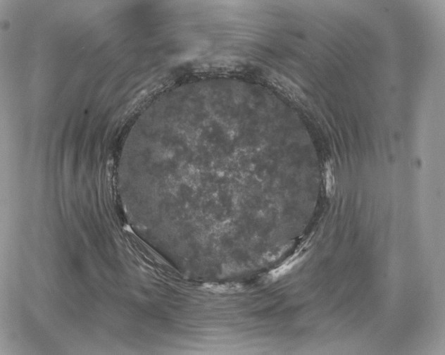 X0000066971059200603271202