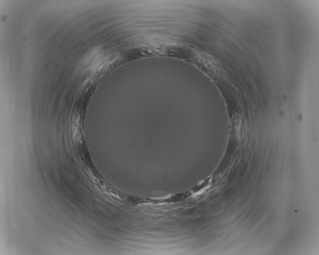 X0000066971060200603271202