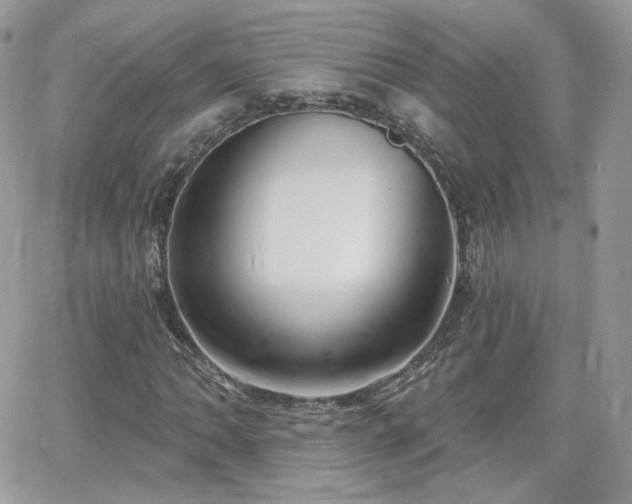 X0000066971062200603271202