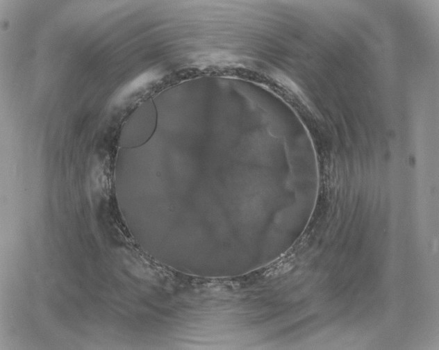 X0000066971063200603271202