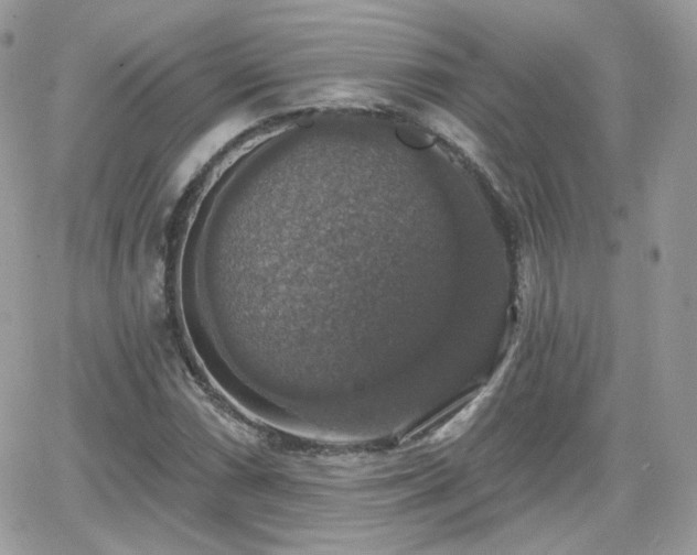 X0000066971066200603271202