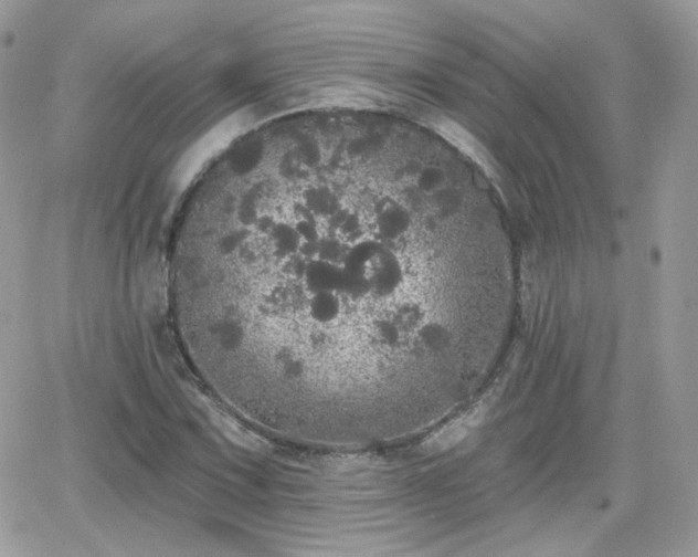 X0000066971067200603271202