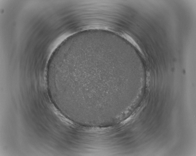 X0000066971068200603271202