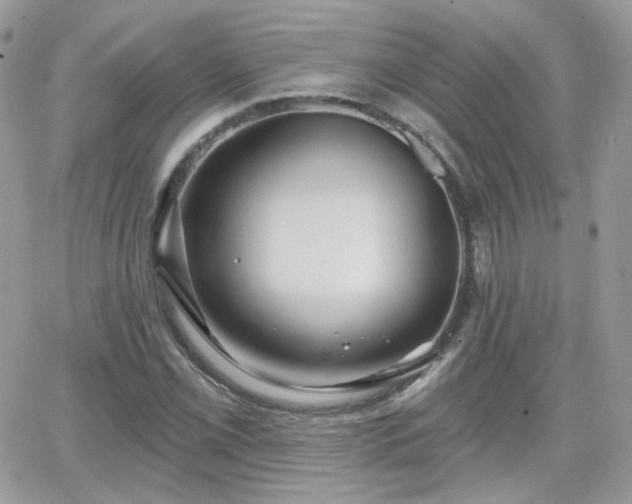 X0000066971069200603271202