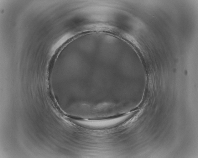 X0000066971071200603271202