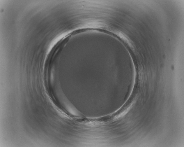 X0000066971077200603271202