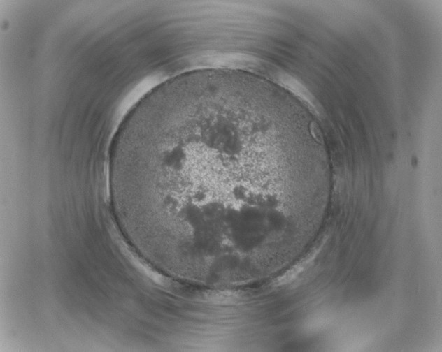 X0000066971079200603271202