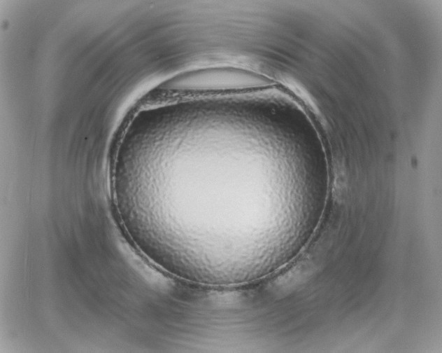 X0000066971080200603271202