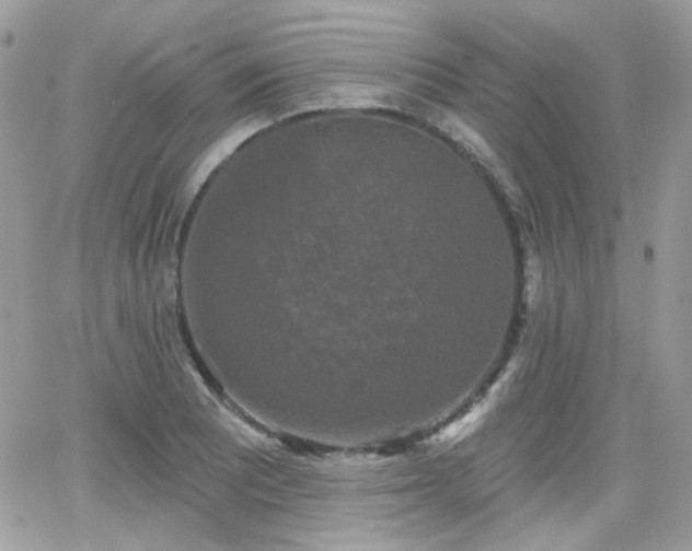 X0000066971081200603271202