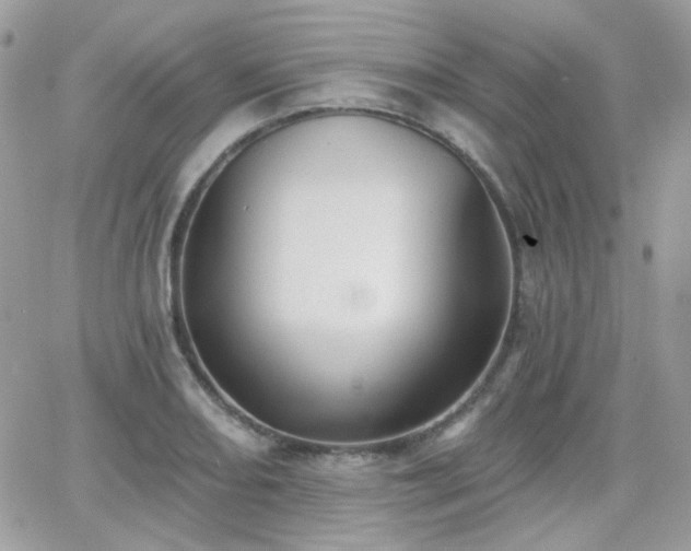 X0000066971082200603271202