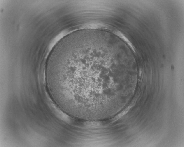 X0000066971083200603271202