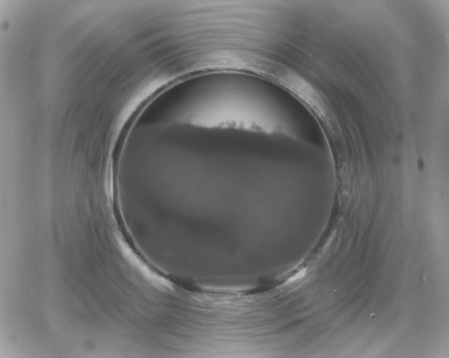 X0000066971084200603271202