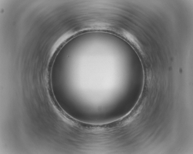 X0000066971085200603271202