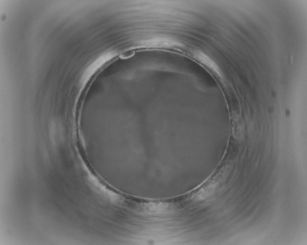 X0000066971087200603271202