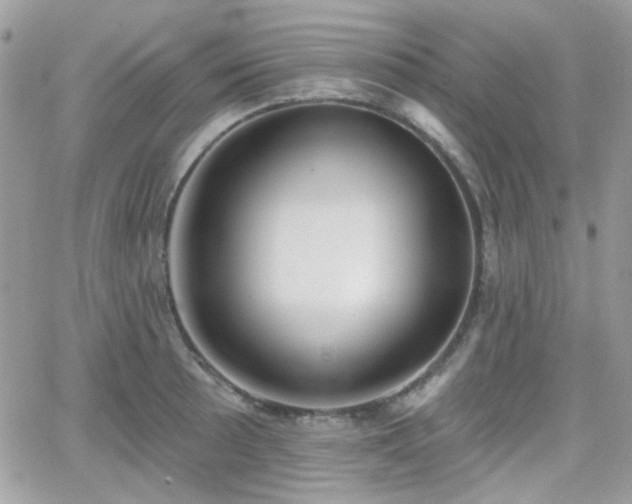 X0000066971089200603271202