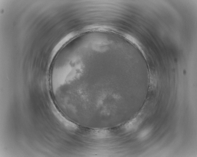 X0000066971090200603271202