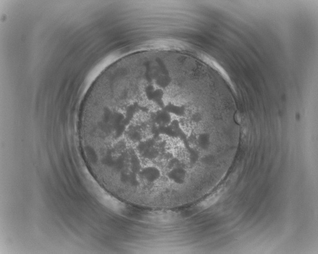 X0000066971091200603271202