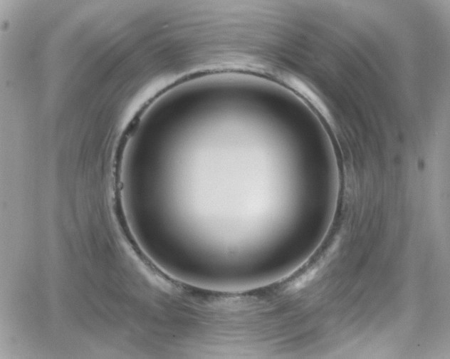 X0000066971093200603271202