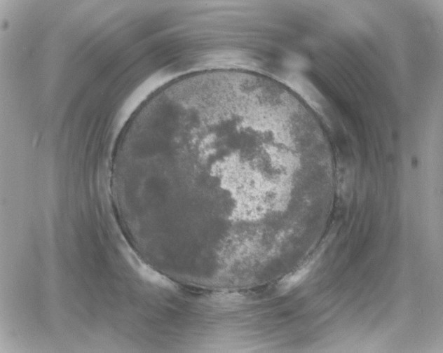 X0000066971094200603271202