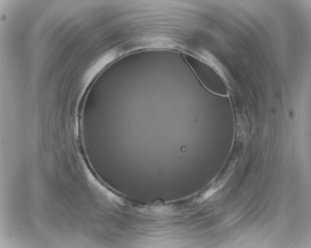 X0000066971095200603271202