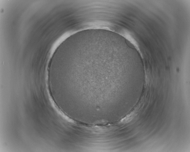 X0000066971096200603271202