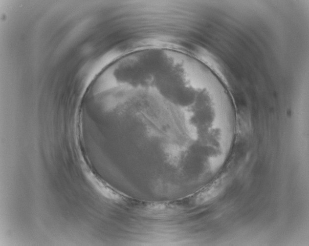 X0000066971098200603271202