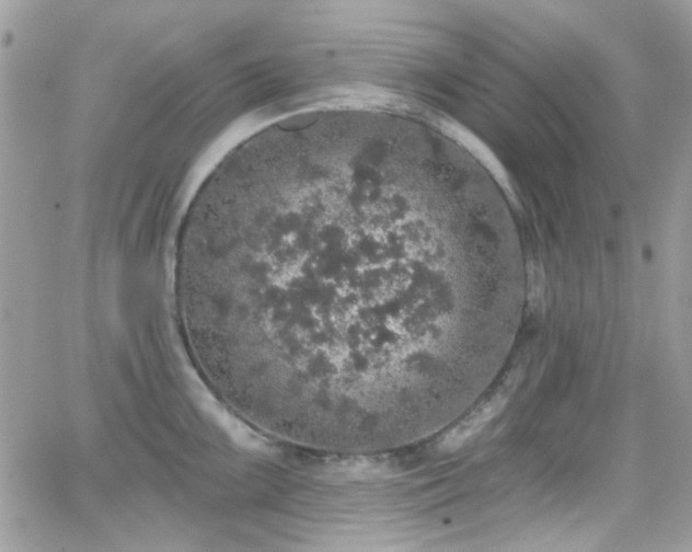 X0000066971099200603271202