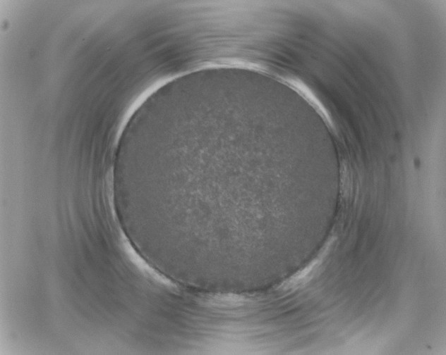 X0000066971100200603271202