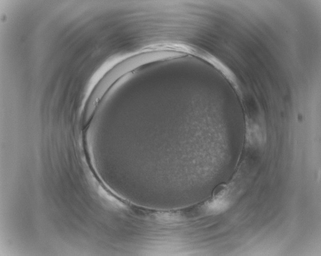 X0000066971102200603271202